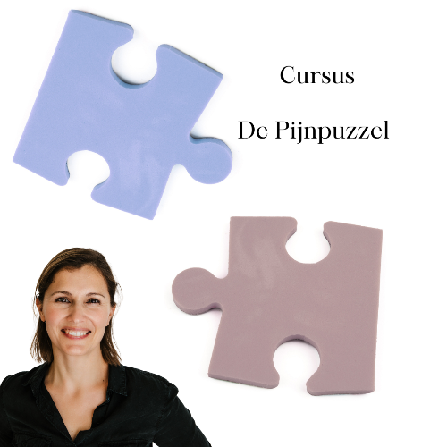 Cursus cover met twee puzzelstukken en els spruyt